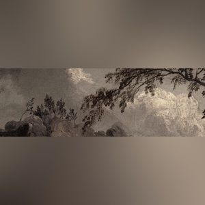 meet your posher, priscilla 🦋